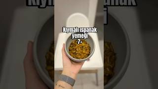 Bebekler için kıymalı ıspanak yemeği 7+