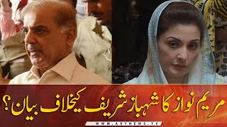 Shehbaz Sharif believes in reconciliatory politics: Maryam Nawaz