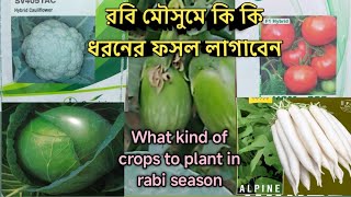 রবি মৌসুমে কি কি ধরনের ফসল লাগাবেন/ What kind of crops to plant in rabi season