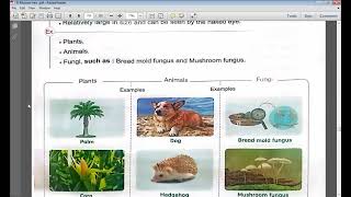 Grade7-Unit3-Lesson1