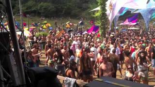 Mindwave Live @ OZORA Festival 2011