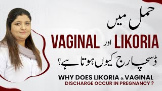 Hamal Mein Likoria Kyn Hota Hy | Vaginal Discharge During Pregnancy Causes \u0026 Treatment