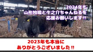 今年1年ありがとうございました‼︎ #子牛市場 #wagyu #子牛 #家畜市場 #滋賀県 #近江牛 #島根県 #大分県 #宮崎県 #山形牧場#beef