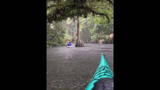 Rainy Kayak Day at Loxahatchee River