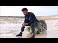 Gemini - Struggle (Audio)