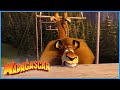 DreamWorks Madagascar | Alex The Trapeze King | Madagascar 3: Europe's Most Wanted | Kids Movies