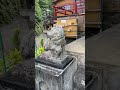 受験生やスポーツ選手に 人気の神社です。 一勝地阿蘇神社 一勝地 球磨村 人吉市 人吉球磨 夏目友人帳聖地巡礼