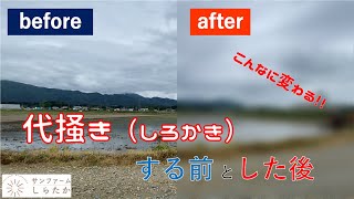 大きいハローで代掻き作業