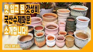 (동국토기)첫 입고된 국산수제화분도 함께 만나보세요 ※이벤트는 마감되었습니다※