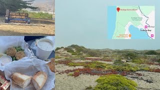 Bodega Bay Beaches \u0026 Restaurants | Bodega Dunes Beach \u0026 Spud Point Crab Company