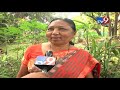 couple grows medicinal herbs at home valsad tv9