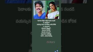 నువ్వు మల్లెతీగ..నేను తేనెటీగ1#chitra#balasubramanyam #nagarjuna #meena#telugumusic SongLyricsTelugu