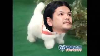 【関暁夫】愛犬ロボ「せき」