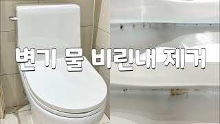 화징실 비린내 주범은 이게 100% 알고나면 예방 가능