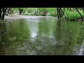 rain sounds on the riverside calm the mind and help you relax sleep inducing white noise asmr