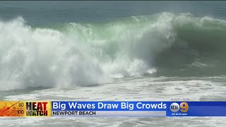 Big Waves Draw Big Crowds At Newport Beach