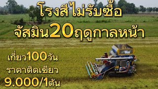 โรงสีบอกเบอร์20🌾ฤดูกาลหน้าไม่รับซื้อแล้ว#ชาวนา #จัสมิน20