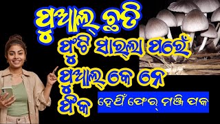 ପୁଆଲ୍ ଛତି ଫୁଟି ସାର୍ଲା ପରେଁପୁଆଲ୍ କେ ନେ ଫିକ ହେଥିଁ ଫେର୍ ମଞ୍ଜି ପକ / reause the paddy straw for mushroom