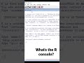 What is the R console?