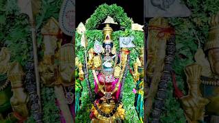 வெற்றிவேல் முருகனுக்கு அரோகரா 🦚 #lordmurugan 🥰#ommuruga 🙏 #bakthisongs #murugansongs #song #shorts