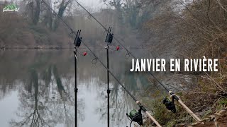 Pêche de la CARPE en RIVIÈRE / Winter Fishing 4K