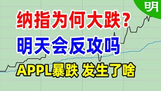 美股盘后分析 纳指为何大跌 明天能否反攻 个股分析 AMC AAPL TSLA NVDA COIN MARA PDD FUTU 阿明说美股