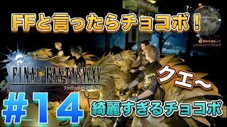 FF15のチョコボは綺麗すぎる！チョコボを襲うボス秒殺！ファイナルファンタジー15【FF15】