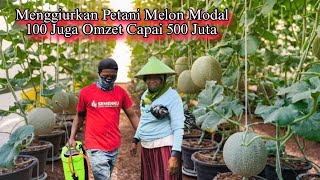 Suka Duka Petani Melon Blora Modal 100 Juta 2 Bulan Omzet 400 Sampai 500 Juta Inilah Prosesnya