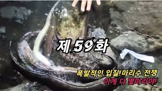 포항 낚시!! 제59화 폭발적인 입질!! 마릿수 전쟁이다(쉴틈없다!!!!)