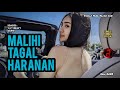 Single Funkot - Dj Malihi Tagal Haranan (Lagu Dayak) New 2023 - Trending Viral TikTok