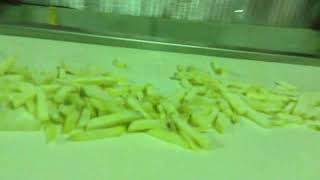 Optimize Fries Quality with Pre-Cooling + Fluidized IQF Freezer