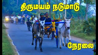 திருமயம் நடுமாடு நேரலை