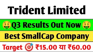 Trident Q3 Results 2025 | trident Results today, Trident share latest news, Trident Ltd latest news