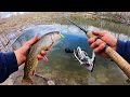 Fishing a LOADED Lake for WILD Brook Trout!! (Catch & Cook)