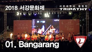 [2018 서강대학교 응원단 트라이파시] 서강문화제 01. Bangarang