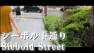 Nagasaki Walk - Walk through Siebold Street - シーボルト通り -