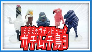 【羽鳥ぽぽぽ】鳩がガチムチ鳥３をレビュー！【第231羽】