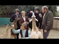 The Beach Boys - God Only Knows (All Single-Tracked Vocals)