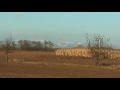 2016.11.13.│havas kőszegi hegység│snowy kőszeg mountains│