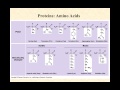 bio210 video lecture peptide bonds