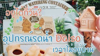 รดน้ำต้นไม้ยังไง เวลาไม่อยู่บ้านหลายวัน ต้องวิธีนี้ 60 บาทจากร้าน #Daiso