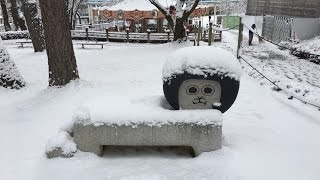 2017.1.15 雪の岡崎南公園を散歩してきました。