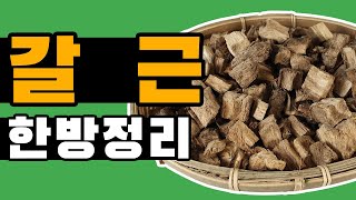 칡=갈근!! 술 깨는데 좋은 칡!! / 효능,먹는법,주의사항까지 [약방청년의 한방정리]