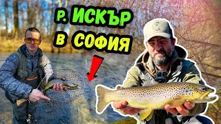 НАЙ-ЯКОТО МЯСТО за РИБОЛОВ на ПЪСТЪРВА  в СОФИЯ - река Искър!