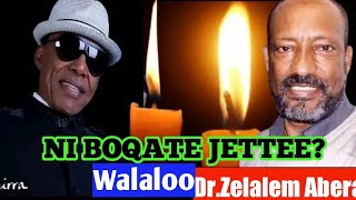 NI BOQATE JETTEE?_Walaloo Dr Zalaalam abarraa Dr.Alii birraaf walaleessan.