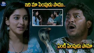 ఇది మా పెంపుడు పాము..ఏంటి పెంపుడు పామా | Nedevidudula Latest Telugu Movie Scene | iDream Celebrities