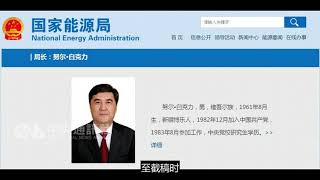 首位维族高官落马 中共国家能源局局长被查