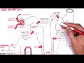 Nephrology - Physiology Reabsorption and Secretion