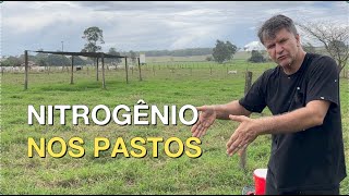 ADUBAÇÃO NITROGENADA NOS PASTOS