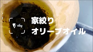 【vlog】やっと本編！ 収穫したオリーブから自家製オリーブオイルを作る【小豆島Trip Vo.4】